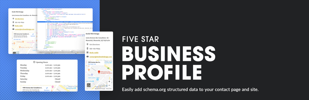 Business Profile & Schema Plugin