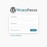 How to change date and time settings of your WordPress website. - CAREMYWP