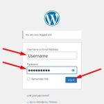 How to Change Site Language in WordPress? - CAREMYWP