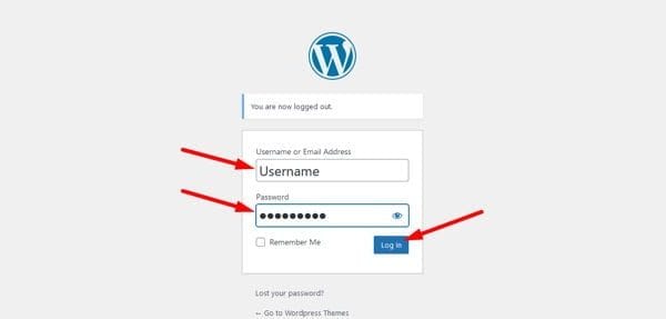 How to Change Site Language in WordPress? - CAREMYWP
