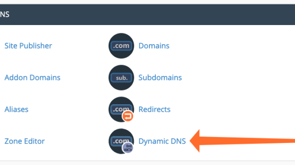 How to Host Dynamic DNS Domains with cPanel | cPanel Blog