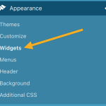 What are WordPress widgets are sidebars. - CAREMYWP