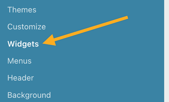 What are WordPress widgets are sidebars. - CAREMYWP